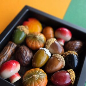 Herfst chocolade